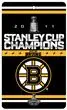 Best stanley cup 2008 champions