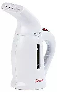 Best garment steamer bed bugs