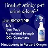 Best remove dog vomit from carpet