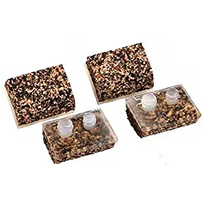 Best hayward pool vacuum instructions