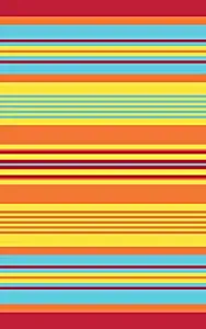 Best  carpet cleaner to rent