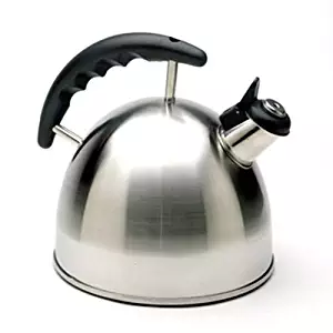 Best stainless steel tea kettle canada