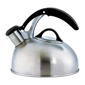 Best oxo good grips brushed stainless steel tea kettle