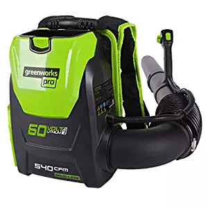 Best greenworks 80v backpack blower