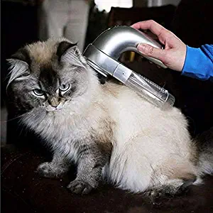 Best pet vacuum grooming system