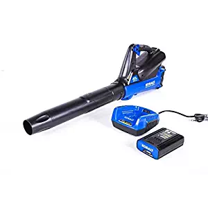 Best craftsman leaf blower wont start