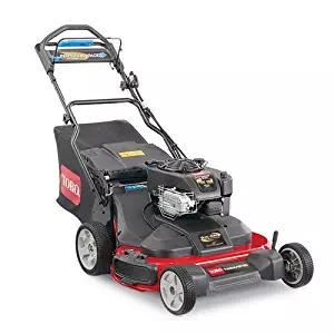 Best  self propelled gas lawn mower