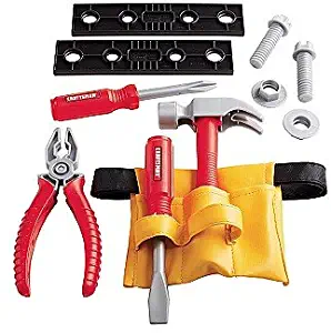 Best craftsman professional tool pouch