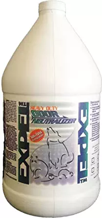 Best how to get rid of cat urine in carpet