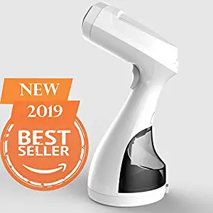 Best  clothes steamer under $100
