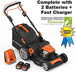Best self propelled walk behind lawn mower reviews