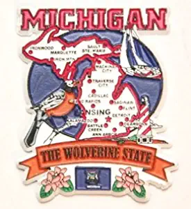 Best cheap appliances in michigan