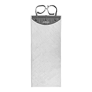 Best garment press steamer