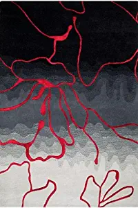 Best home decorators collection carpet