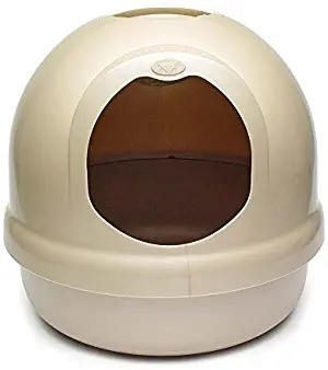 Best amazonbasics hooded cat litter box, standard