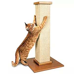 Best replacement carpet for cat tree