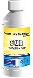 Best  product for removing cat urine from carpet