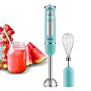 Best immersion hand blender 500 watts