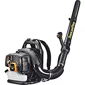 Best gas leaf blower vacuum reviews