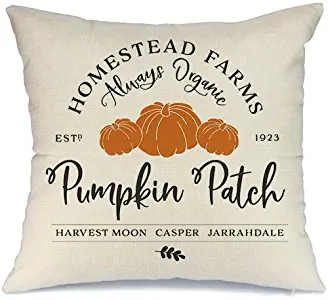 Best home decor pillows and throws