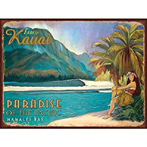 Best hawaiian wall decor for home