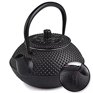 Best cute japanese tea kettle