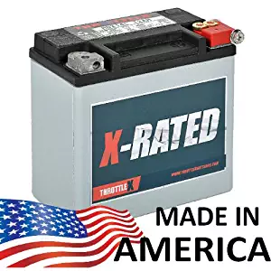 Best agm lawn tractor battery
