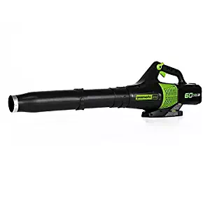 Best greenworks 60v snow blower