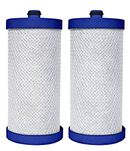 Best kenmore rg 100 water filter