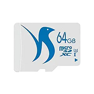 Best sd card for lg k7 phone