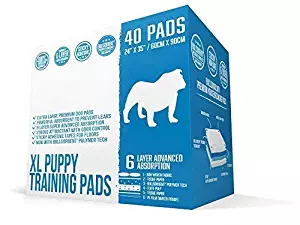 Best how to remove dog urine smell out of carpet