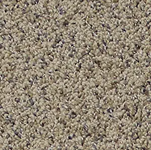Best 24 x 24 carpet tiles