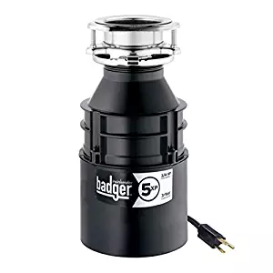Best food grinder in sink