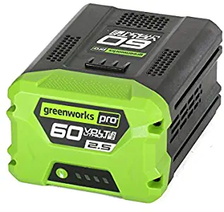 Best greenworks 60v snow blower