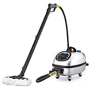 Best industrial high pressure steam cleaner
