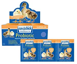 Best lawn care equipment co