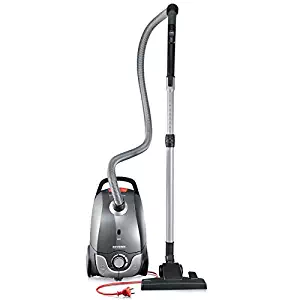 Best canister vacuum for wood floors