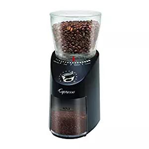 Best burr grinder motor