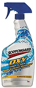 Best scotchgard carpet protector spray