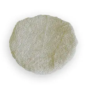 Best porter cable random polisher