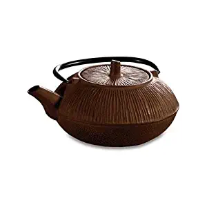 Best sample of a tea kettle