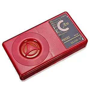 Best new vacuum tube radio