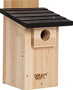Nature's Way Bird Products CWH4 Cedar Bluebird Viewing House, White