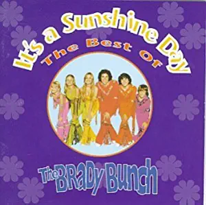 It's a Sunshine Day: The Best of the Brady Bunch