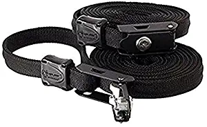 Lockable Tie Down Security Lock Lashing Strap With Steel Core by LightSPEED Outdoors, (10' Black, 2 PACK)