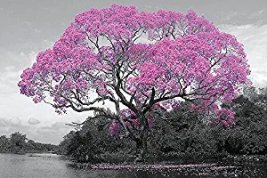 Tree - Blossom Poster 36 x 24in