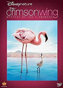 Disneynature: The Crimson Wing - Mystery of Flamingos