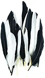 Touch of Nature 24-Piece Mini Indian Feathers for Crafting, 3-Inch, Black/White Mix