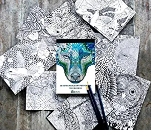 Shovava Adult Coloring Book Post Cards, Hand Drawn Original Art, for Art Lovers