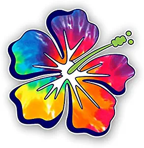 Hibiscus Flower Hawaiian Car Truck Window Laptop Vinyl Decal Sticker (Rainbow Tie Dye)